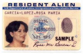 Alien Nation Collection: The Collection that Honors our Immigrants and Ancestors.