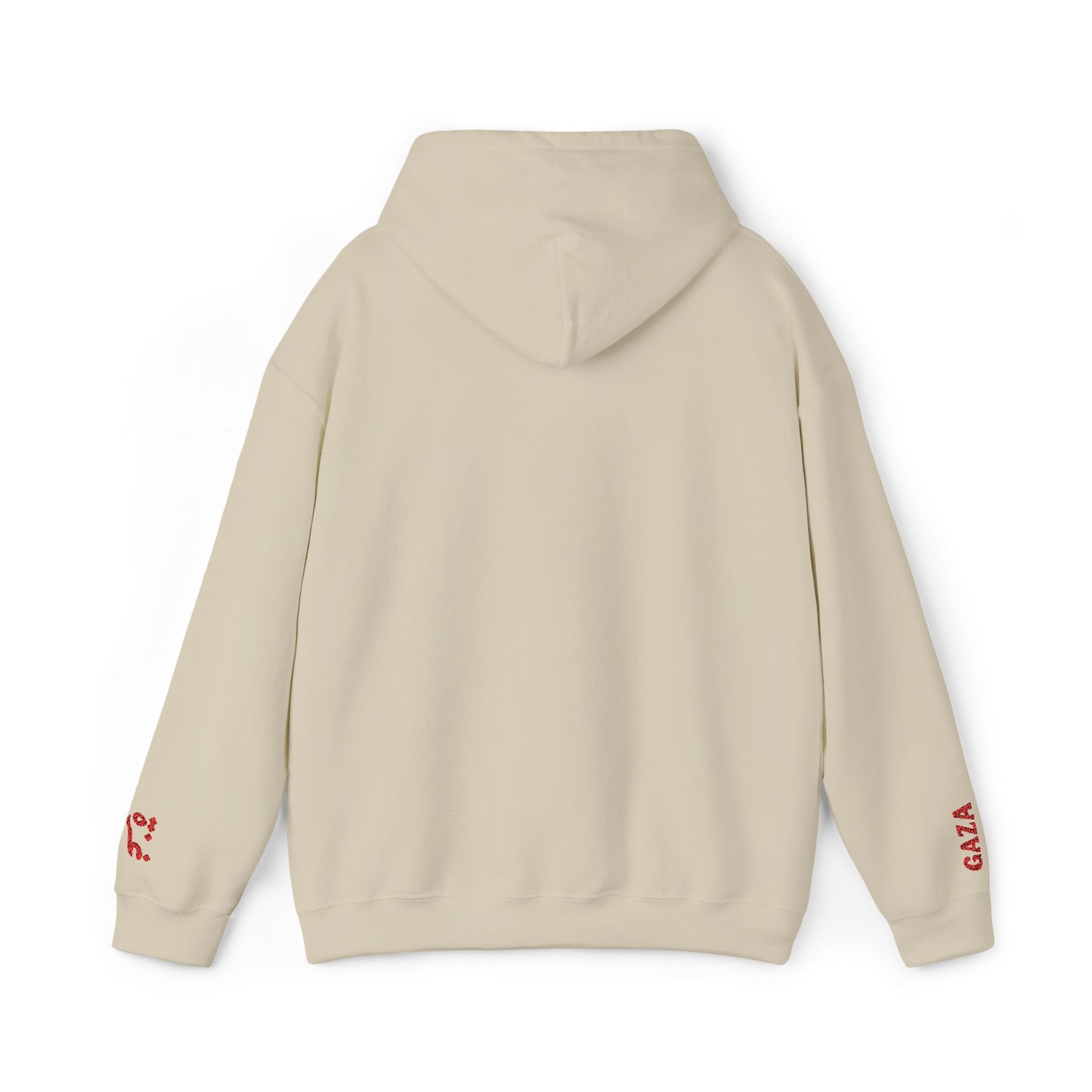 'Gaza Map” Sleeve + Chest Embroidered Unisex Hoodie