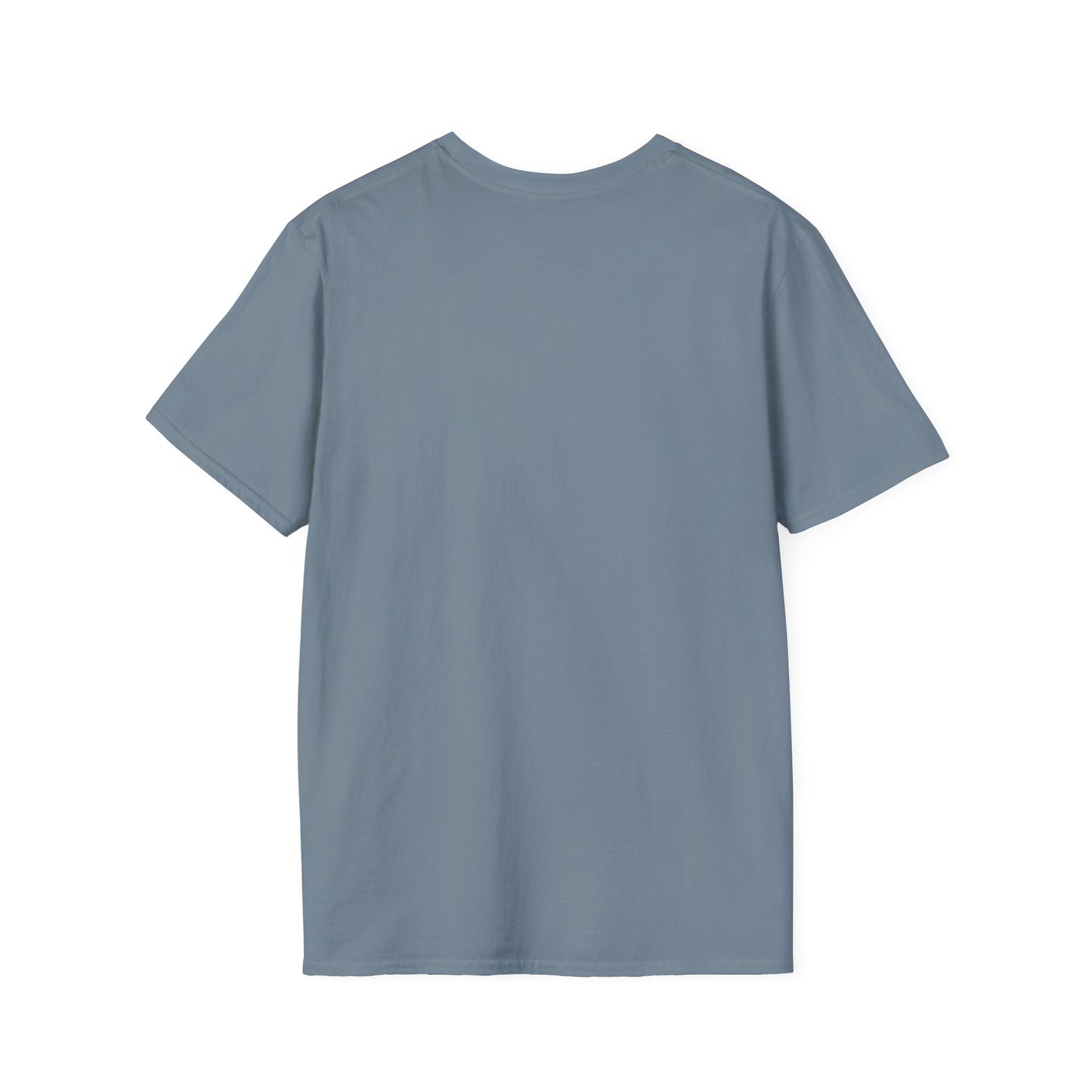 'Ancestors, Not Aliens' Minimalist Slogan Unisex Tee | Alien Nation™