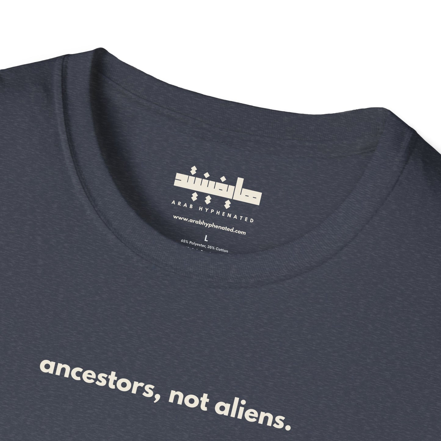 'Ancestors, Not Aliens' Minimalist Slogan Unisex Tee | Alien Nation™