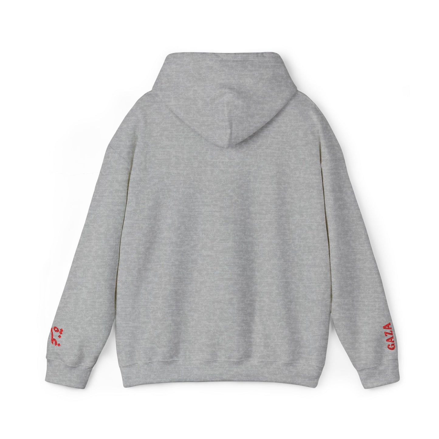 'Gaza Map” Sleeve + Chest Embroidered Unisex Hoodie