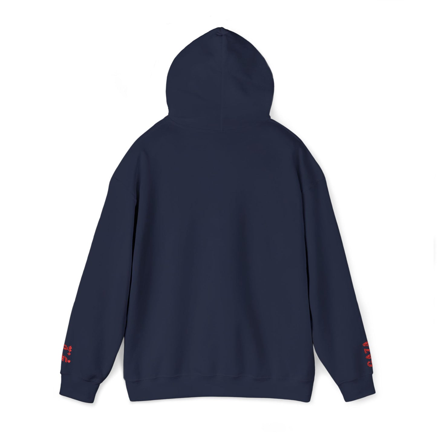 'Gaza Map” Sleeve + Chest Embroidered Unisex Hoodie