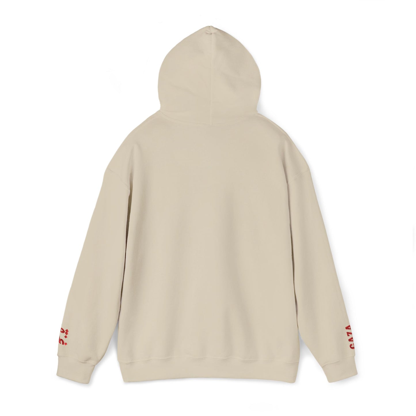 'Gaza Map” Sleeve + Chest Embroidered Unisex Hoodie