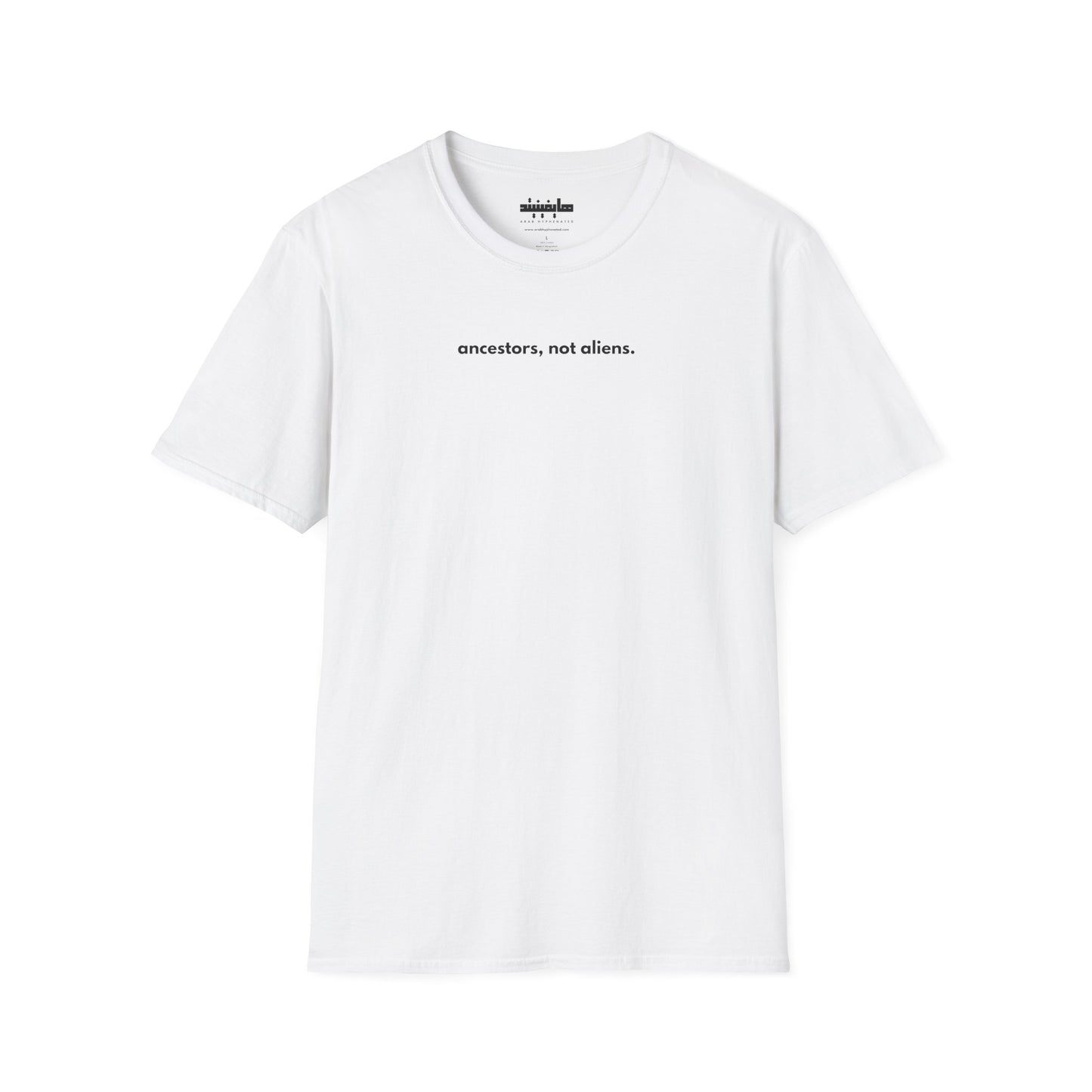 'Ancestors, Not Aliens' Minimalist Slogan Unisex Tee | Alien Nation™