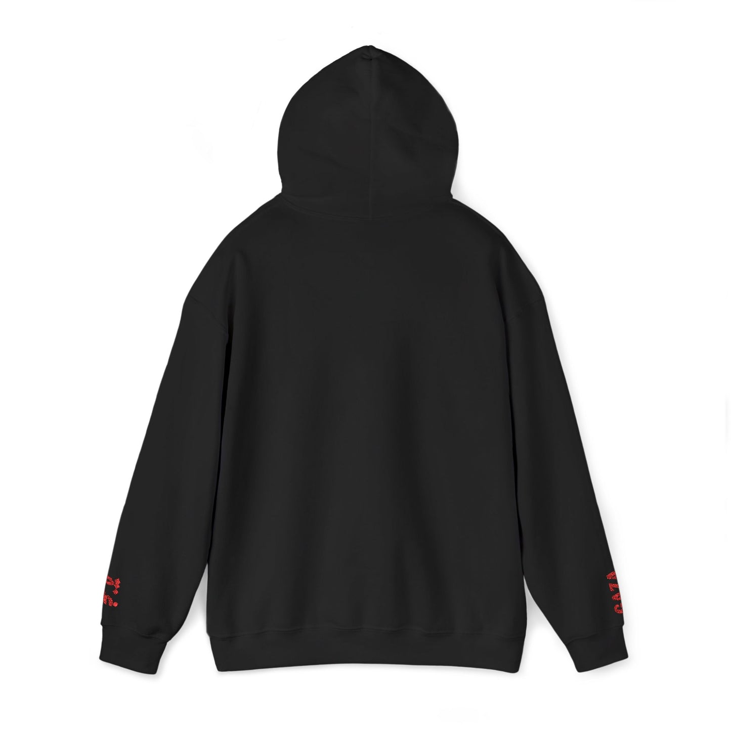 'Gaza Map” Sleeve + Chest Embroidered Unisex Hoodie