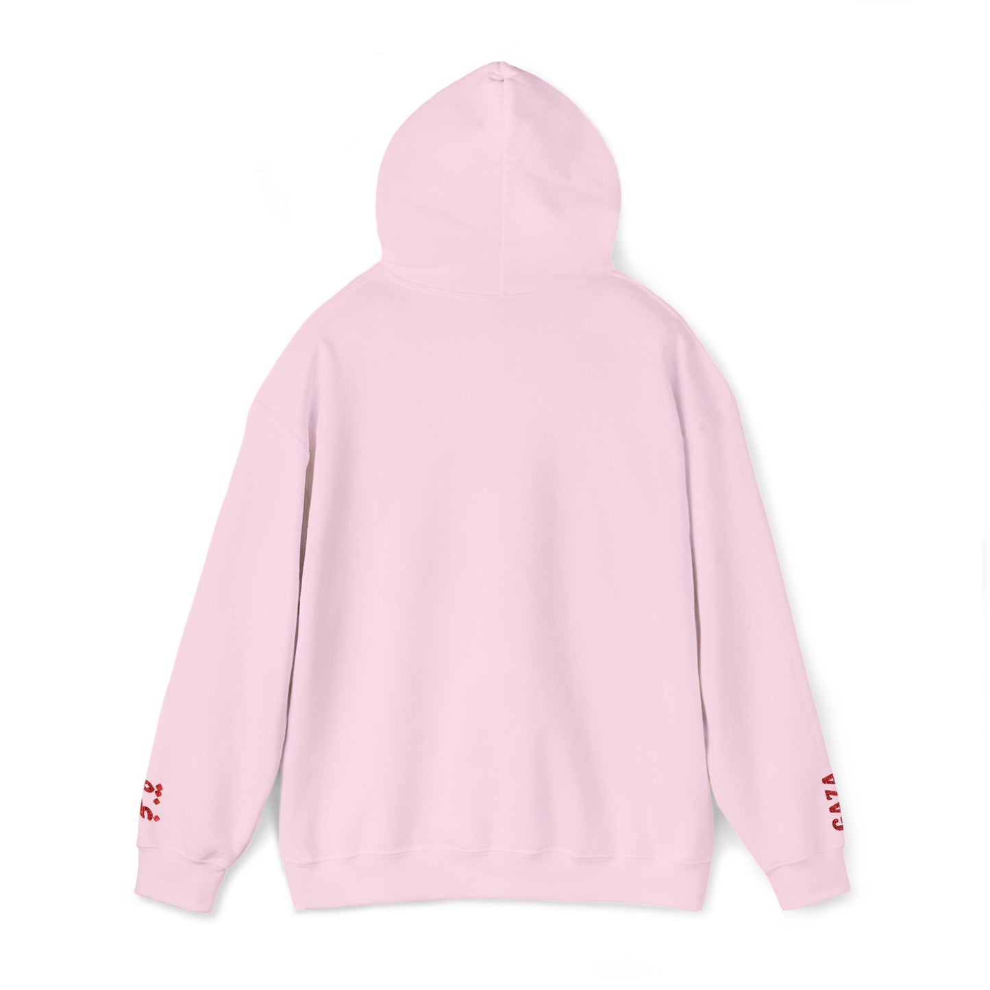 'Gaza Map” Sleeve + Chest Embroidered Unisex Hoodie