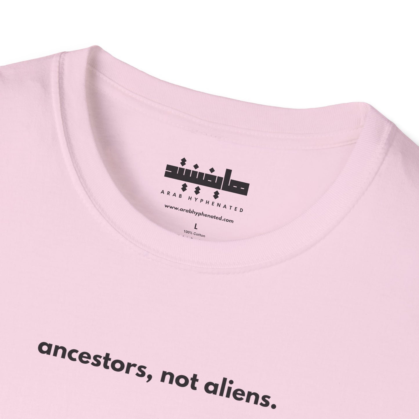 'Ancestors, Not Aliens' Minimalist Slogan Unisex Tee | Alien Nation™