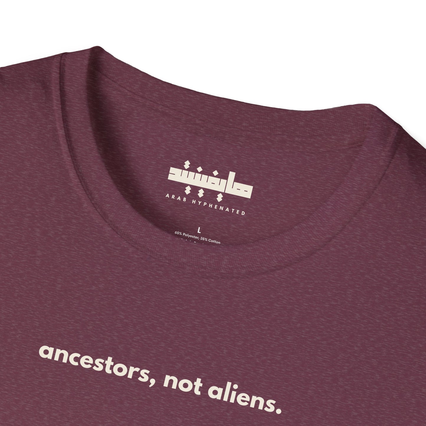 'Ancestors, Not Aliens' Minimalist Slogan Unisex Tee | Alien Nation™