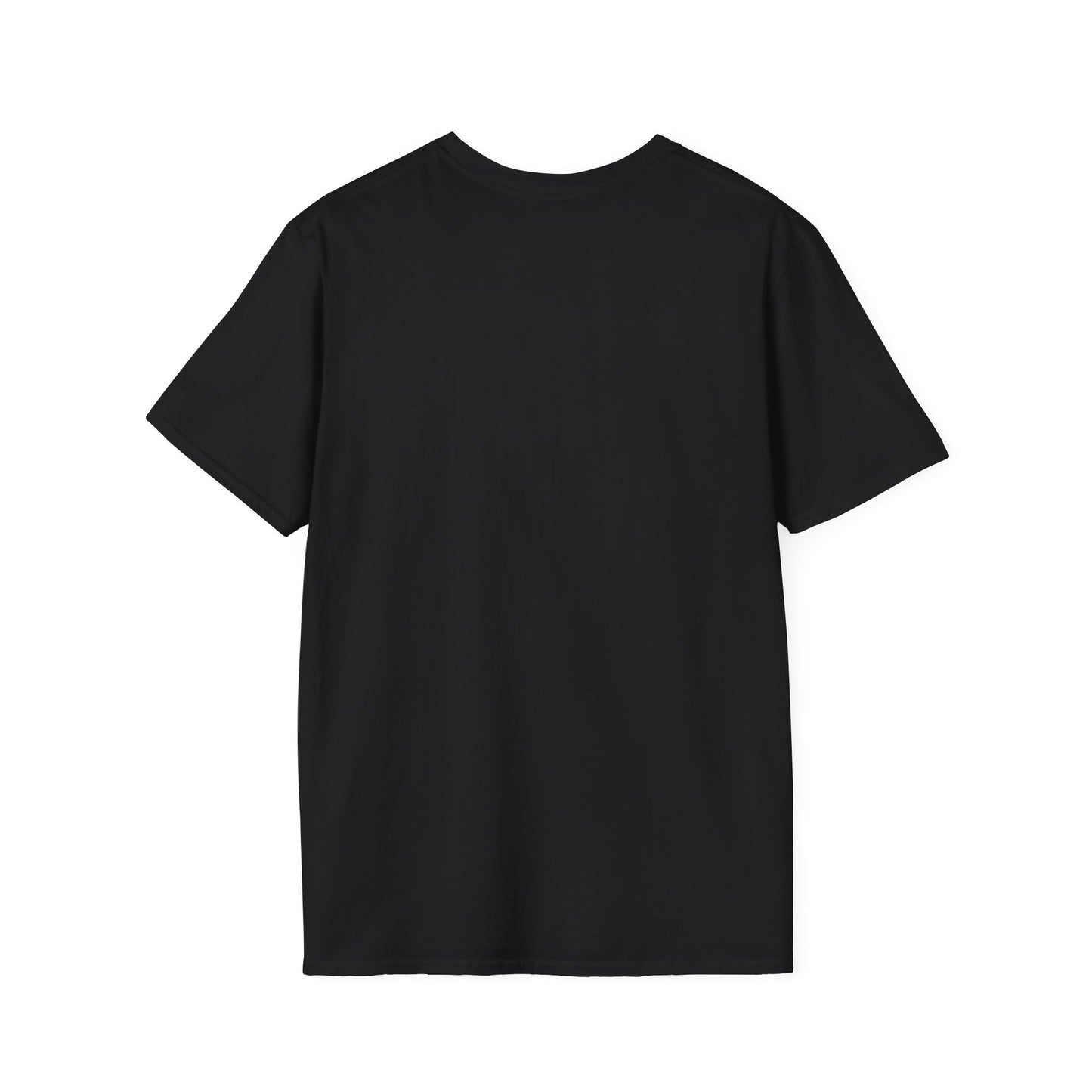 'Ancestors, Not Aliens' Minimalist Slogan Unisex Tee | Alien Nation™