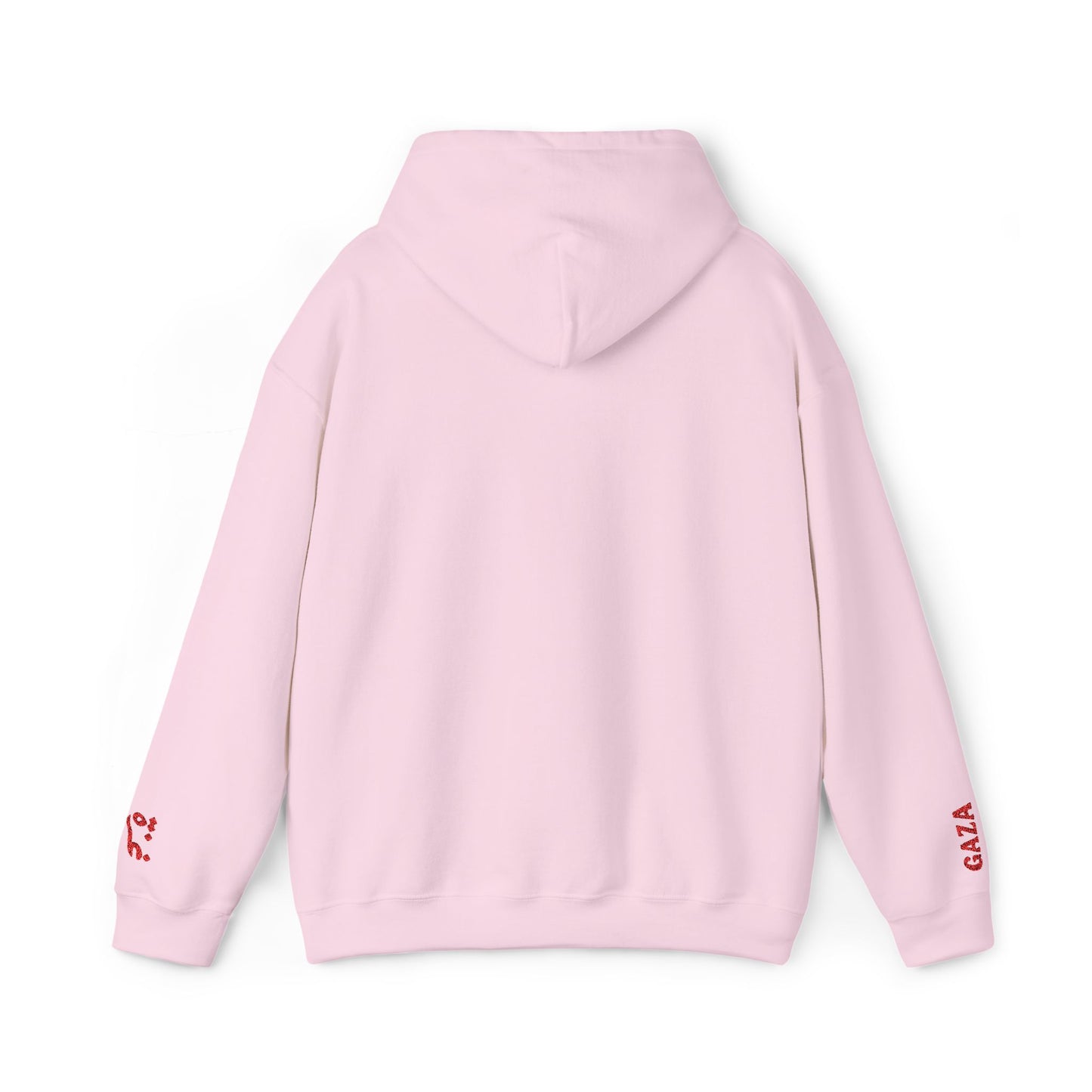 'Gaza Map” Sleeve + Chest Embroidered Unisex Hoodie