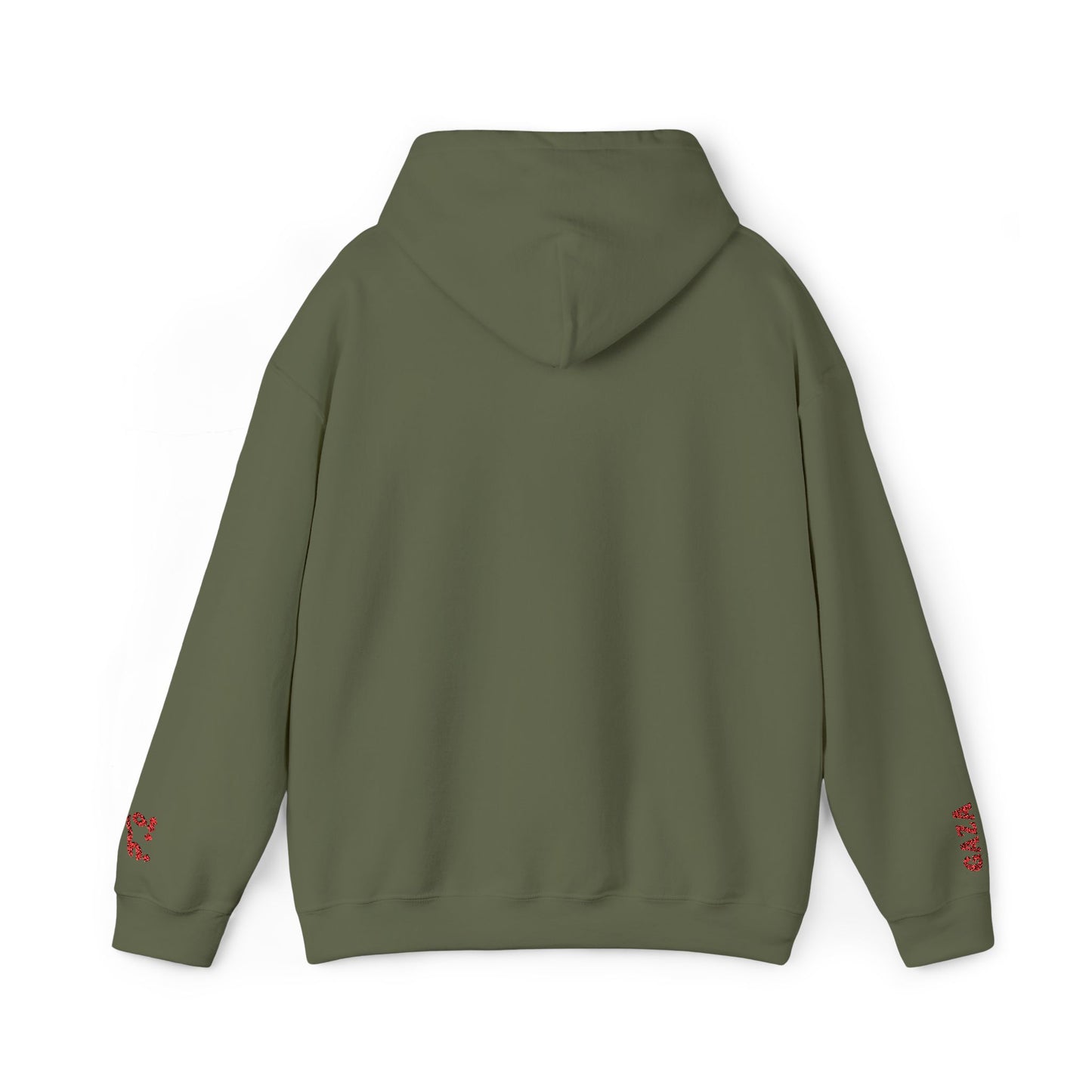 'Gaza Map” Sleeve + Chest Embroidered Unisex Hoodie