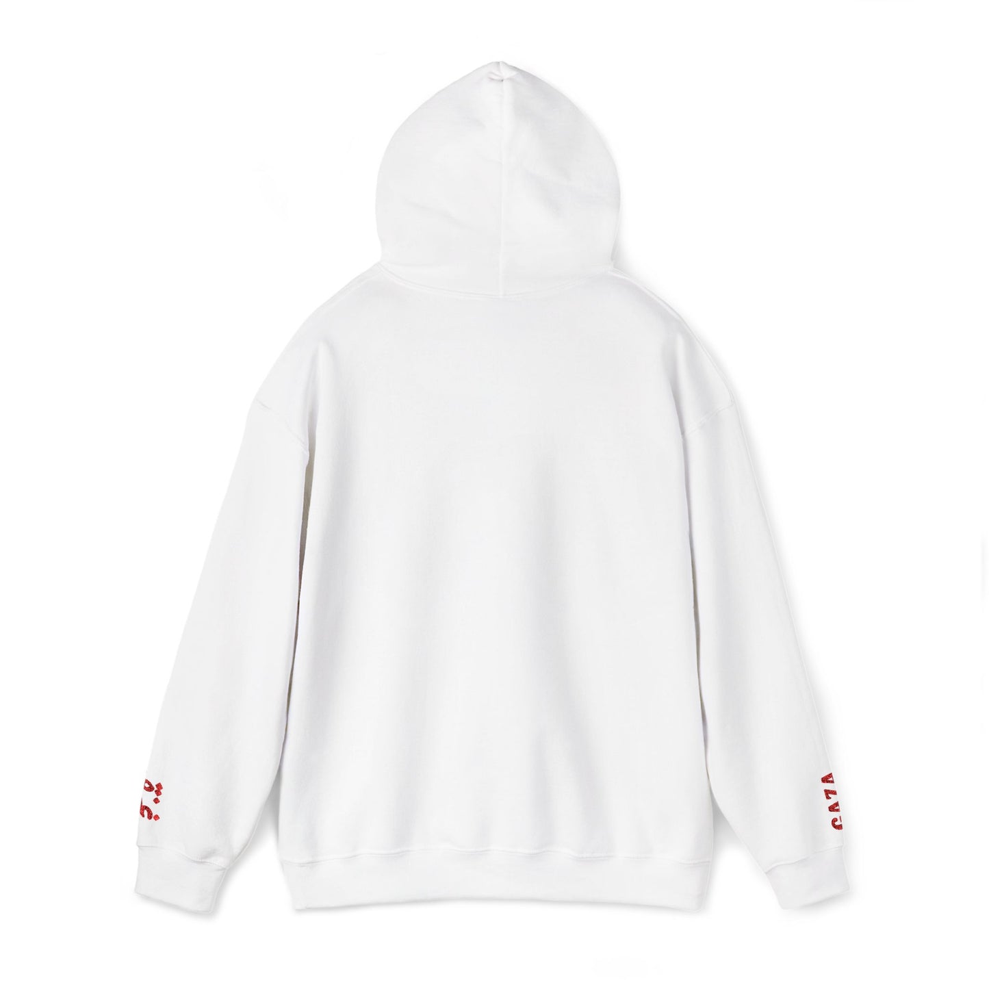 'Gaza Map” Sleeve + Chest Embroidered Unisex Hoodie