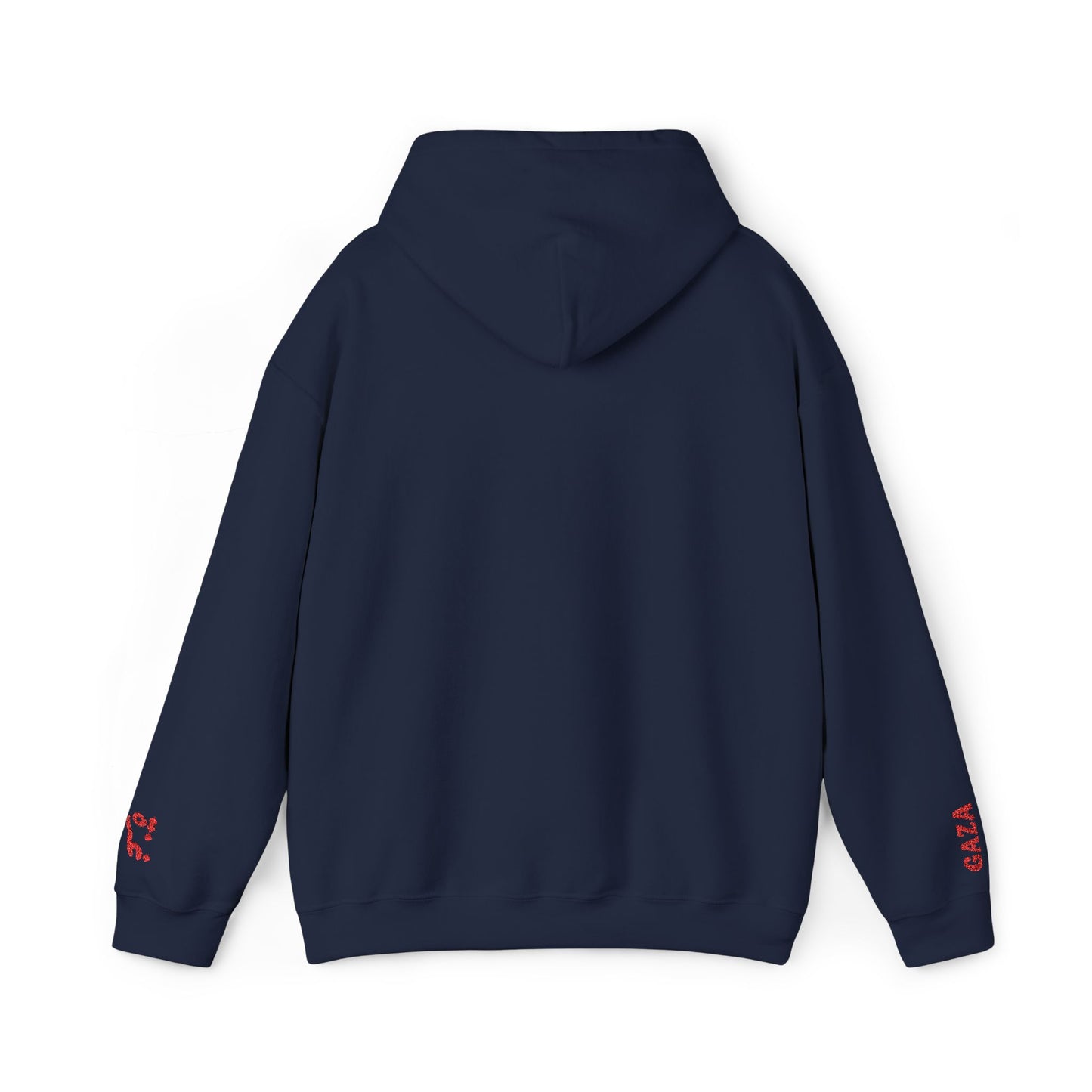 'Gaza Map” Sleeve + Chest Embroidered Unisex Hoodie