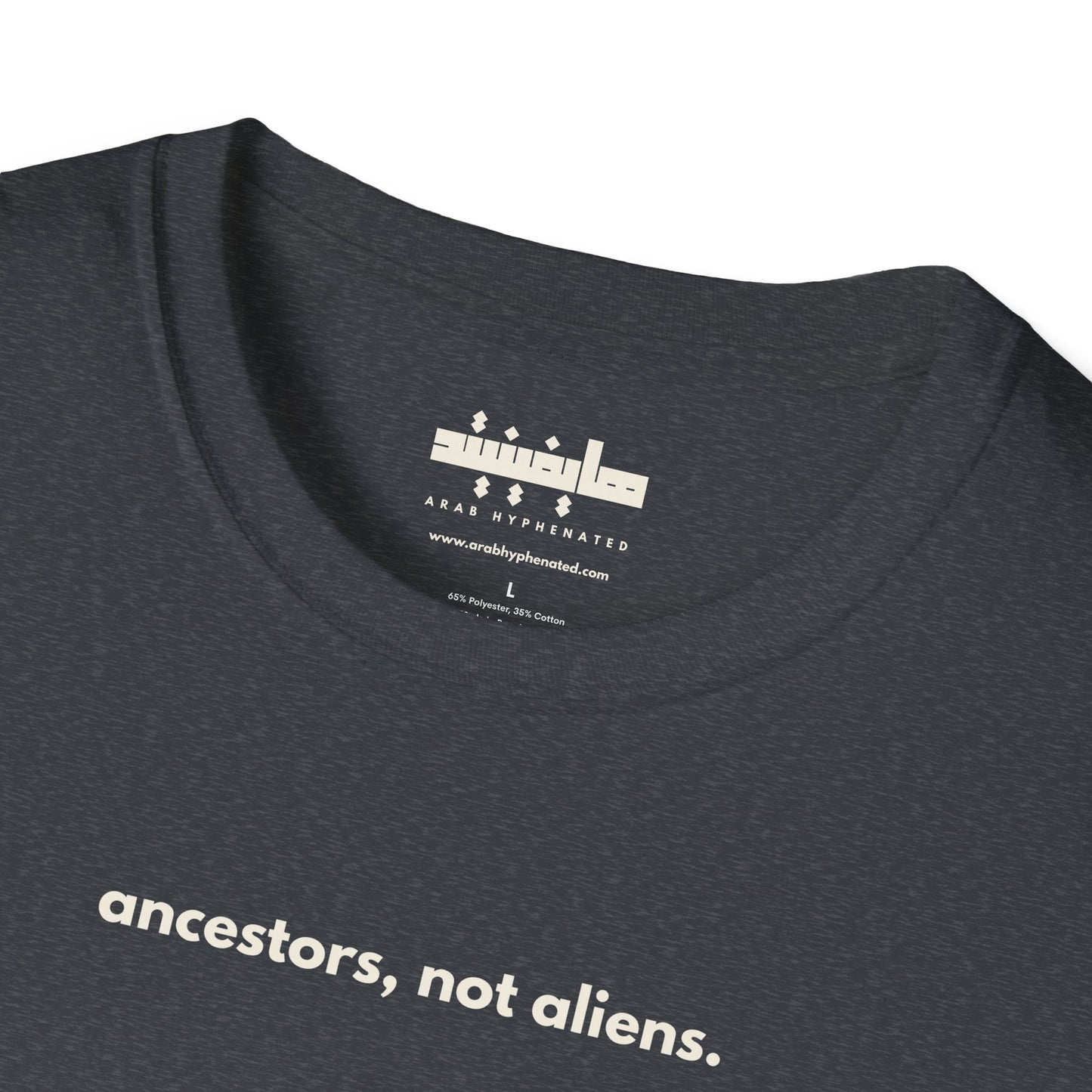 'Ancestors, Not Aliens' Minimalist Slogan Unisex Tee | Alien Nation™
