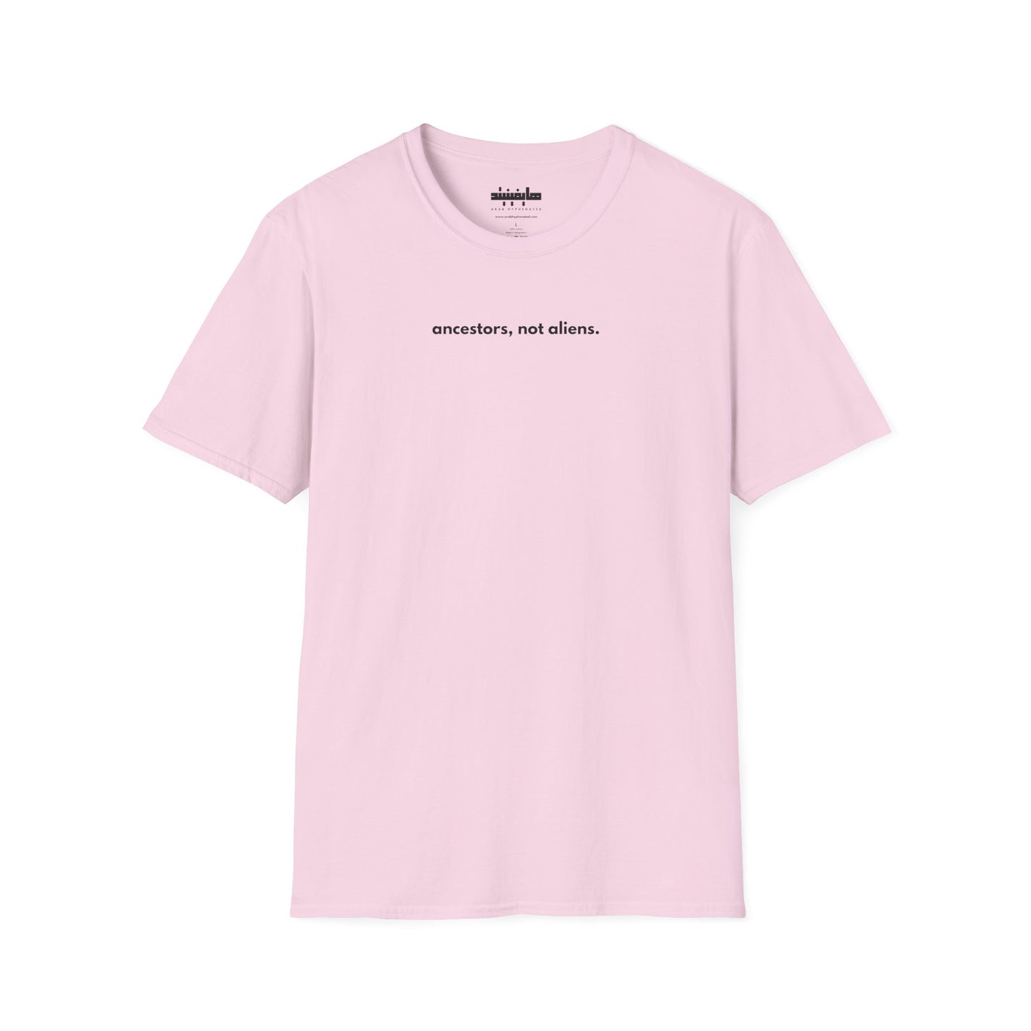 'Ancestors, Not Aliens' Minimalist Slogan Unisex Tee | Alien Nation™