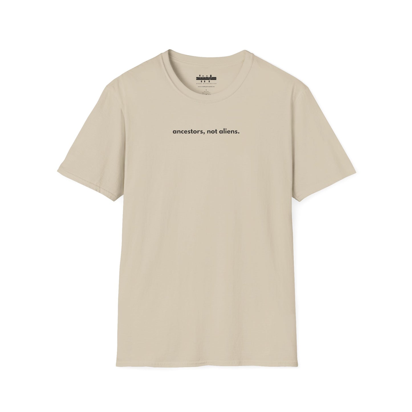 'Ancestors, Not Aliens' Minimalist Slogan Unisex Tee | Alien Nation™