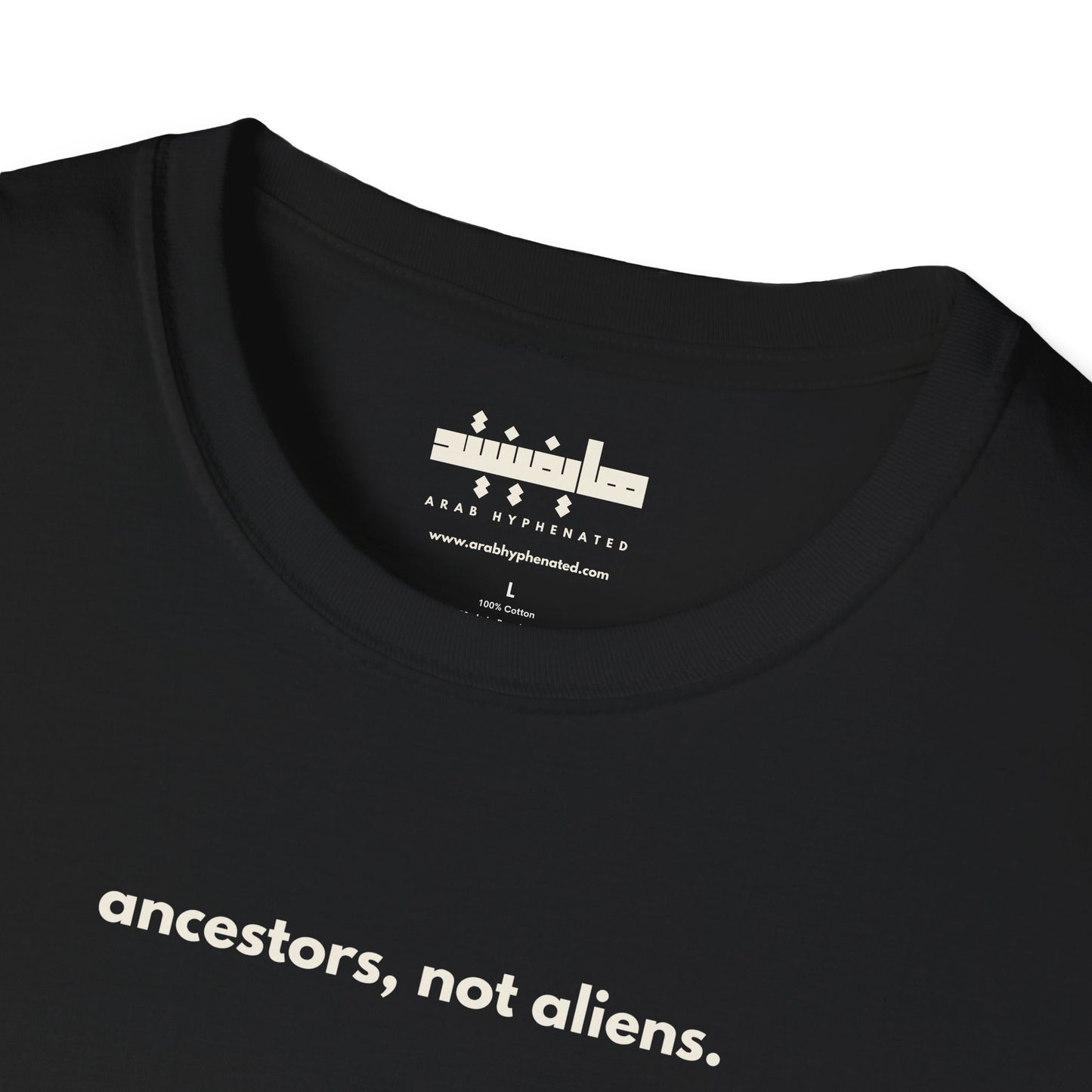 'Ancestors, Not Aliens' Minimalist Slogan Unisex Tee | Alien Nation™