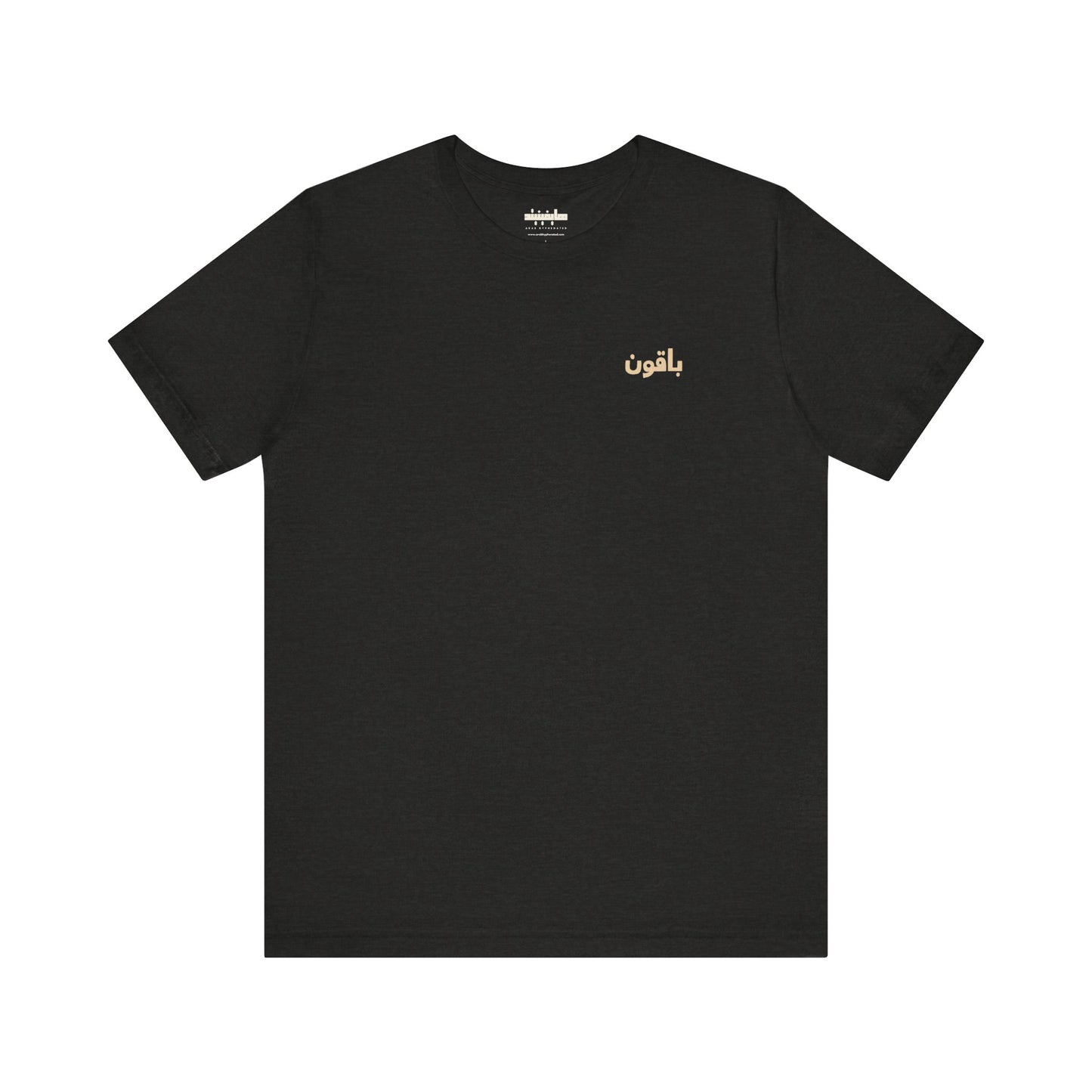 Gaza 'Here to Stay' باقون | Unisex Graphic Tee in Arabic + English | Front + Back Print