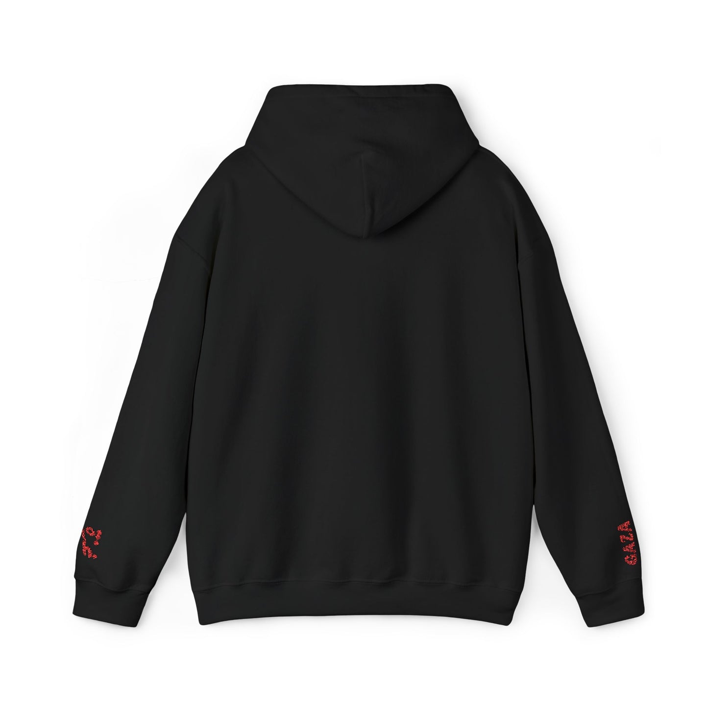 'Gaza Map” Sleeve + Chest Embroidered Unisex Hoodie