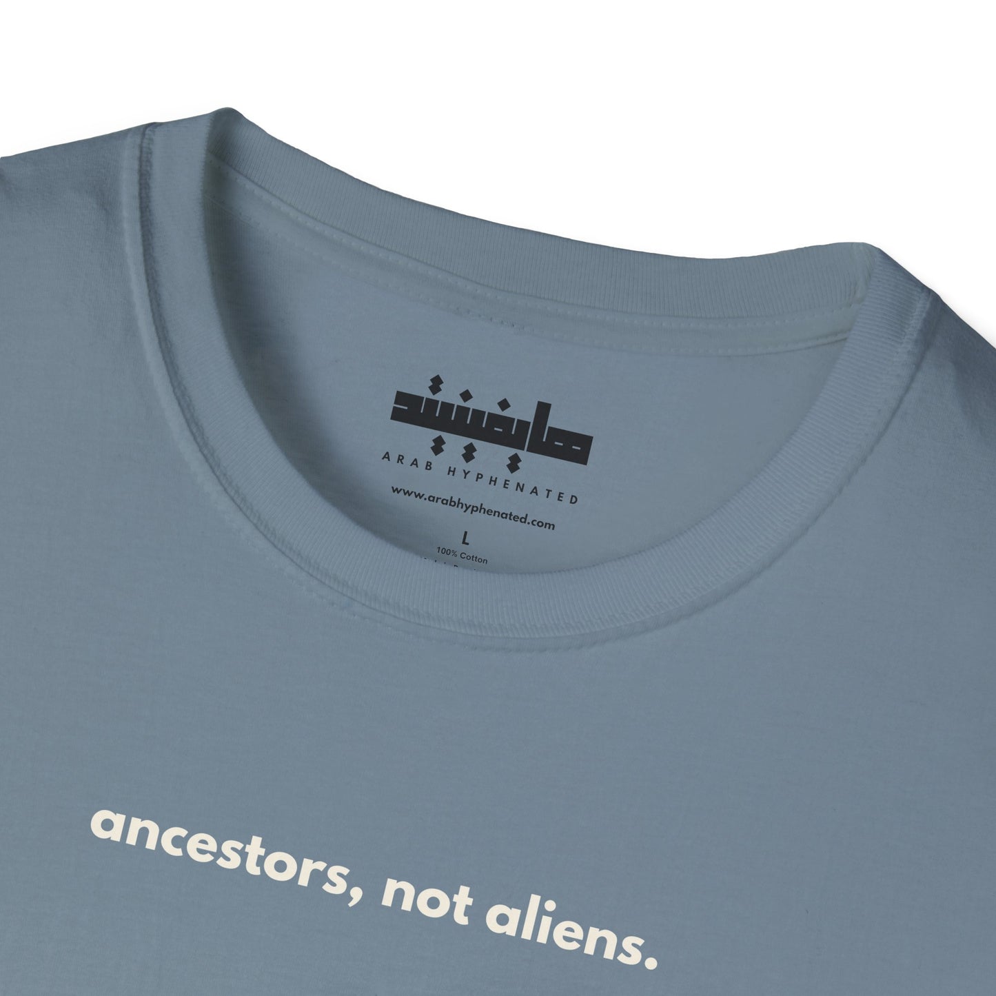 'Ancestors, Not Aliens' Minimalist Slogan Unisex Tee | Alien Nation™