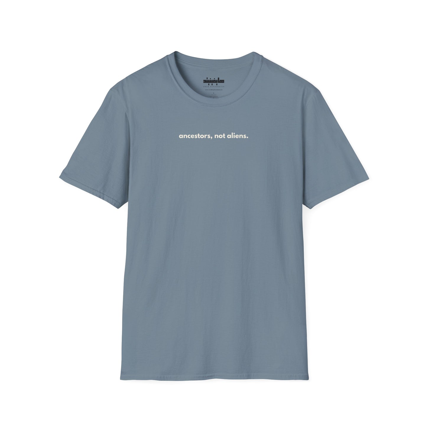 'Ancestors, Not Aliens' Minimalist Slogan Unisex Tee | Alien Nation™
