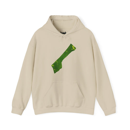 Roots of ʿAzzah – Solidarity Hoodie (Unisex) | Vibrant Premium Print