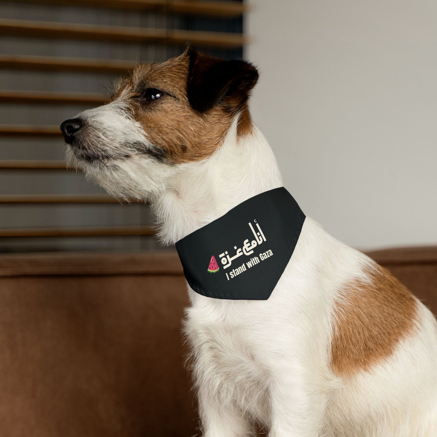 'I Stand with Gaza' | انا مع غزّة | Adjustable Pet Accessory
