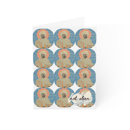 'Not Alien' Patterned Heritage Greeting Card [Gift] | Algerian Immigrant, Ellis Island, 1906-1914