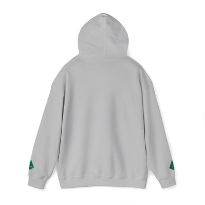 'Gaza, You Are Not Alone." Solidarity Hoodie (Unisex) | Green Embroidery, Light Colors
