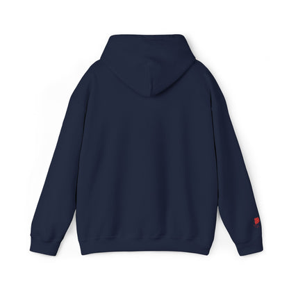 'Gaza' Embroidered Unisex Heavy Blend™ Hooded Sweatshirt - Navy and Blue