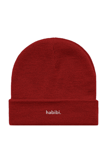 Habibi. — Embroidered Cuff Beanie