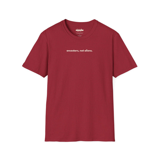 'Ancestors, Not Aliens' Minimalist Slogan Unisex Tee | Alien Nation™