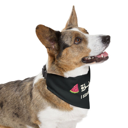 'I Stand with Gaza' | انا مع غزّة | Adjustable Pet Accessory